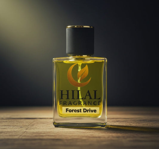 Forest Drive - Inspired by Adventure